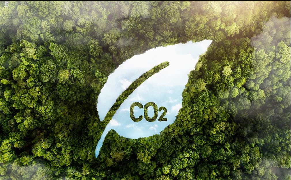 Zero Carbon Projects are Rising in Different Parts of the World